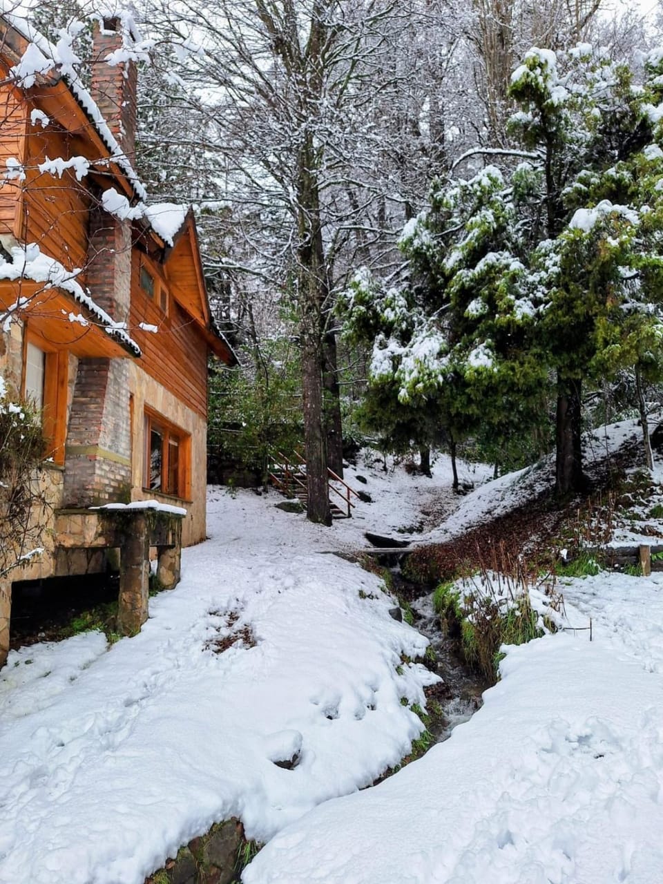 Cabaña del Bosque Chalet in San Martín de los Andes