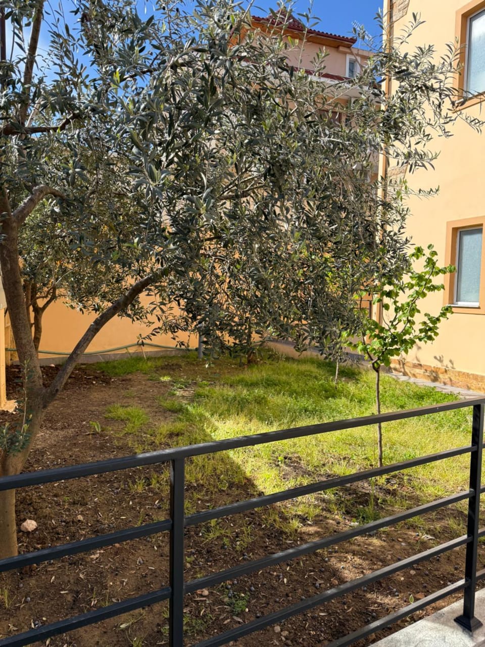 Olivea Suites Tirana Apartment in Tirana