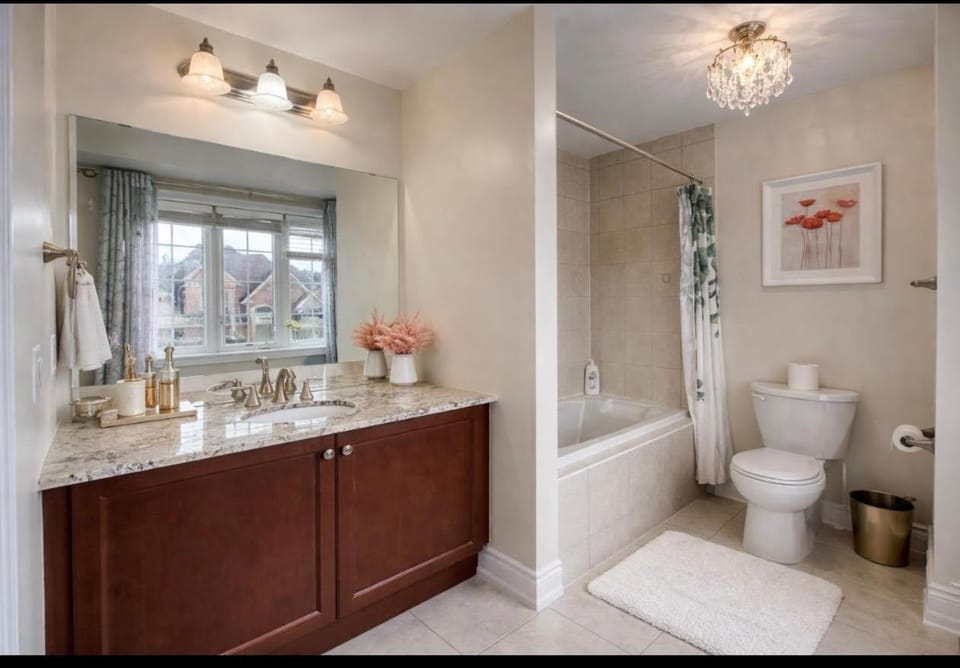 Shower, Toilet, Bathroom, Bath, towels