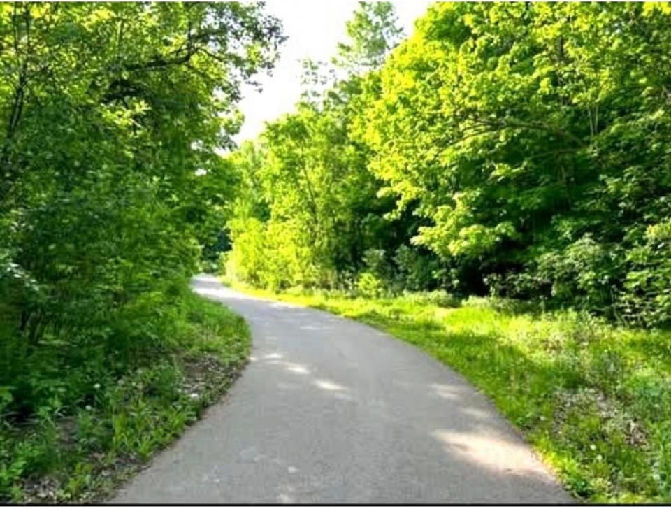 Spring, Day, Natural landscape