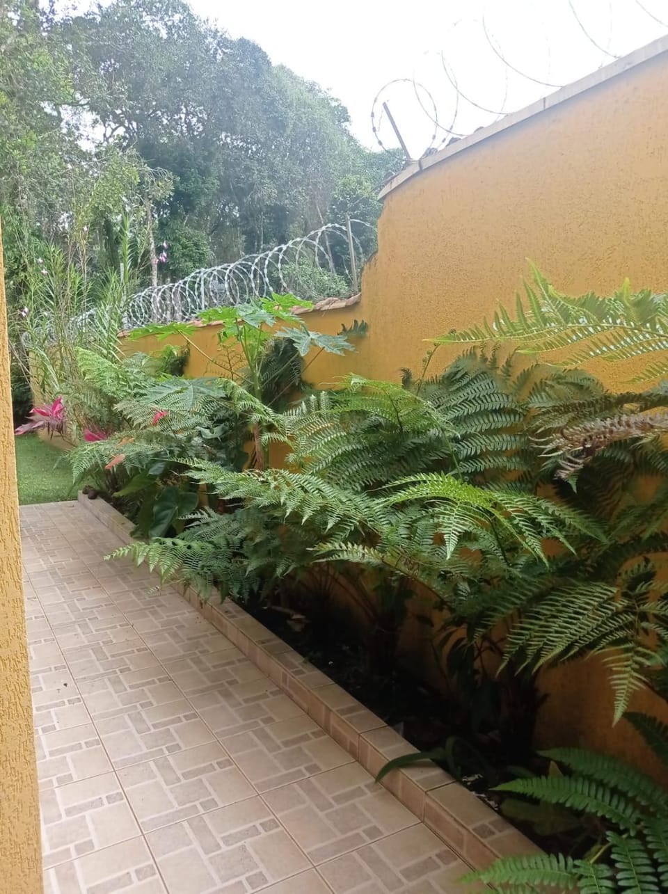 Casa de praia em Bertioga House in Bertioga