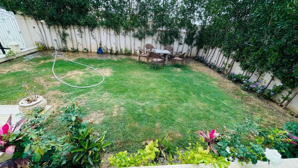 Garden view