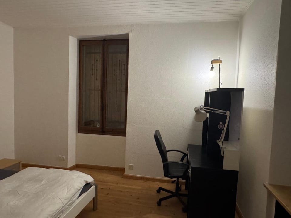 private room in the big house, Planette Charmille Bed and Breakfast in Geneva