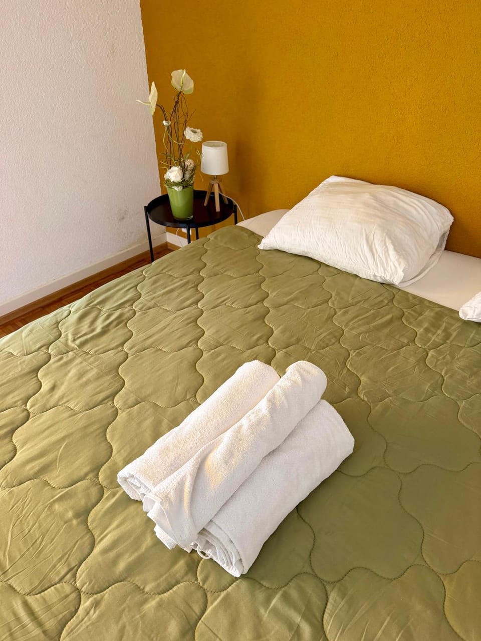 Aliyah Apartment in Lausanne