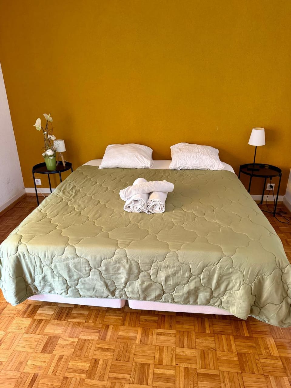 Aliyah Apartment in Lausanne