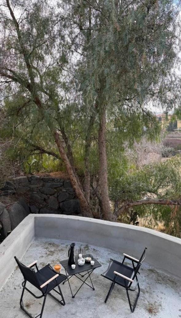 Patio, Spring, Natural landscape, View (from property/room)