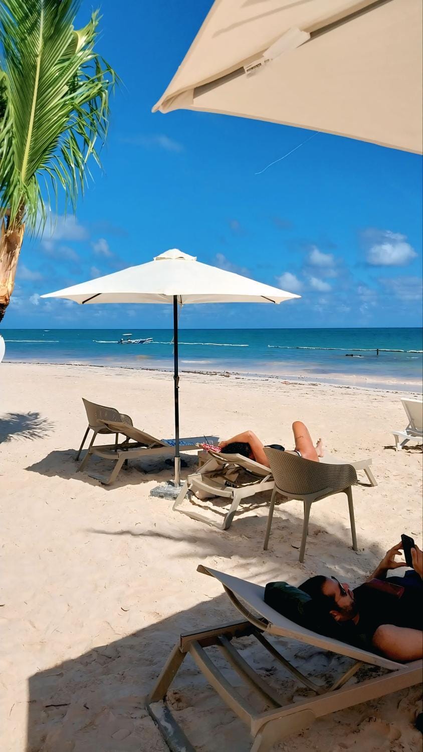 Day, Natural landscape, Beach, sunbed