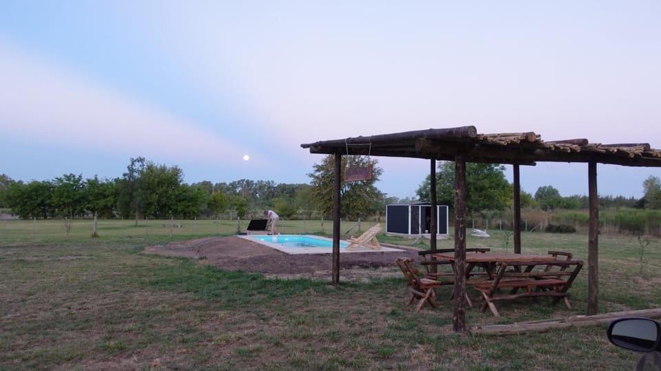 Spring, Day, Natural landscape, Garden, Garden view, Pool view, Swimming pool, sunbed