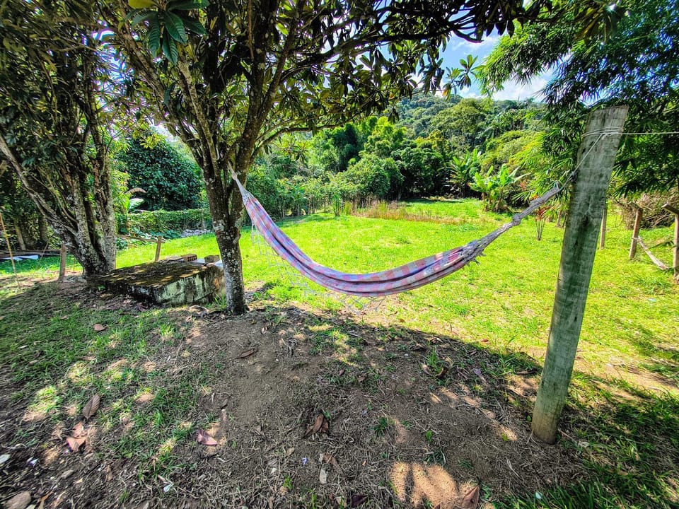 Day, Natural landscape, Garden view
