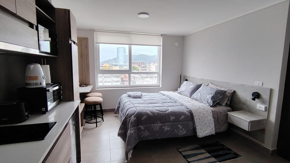 Estudio Apartment in Temuco
