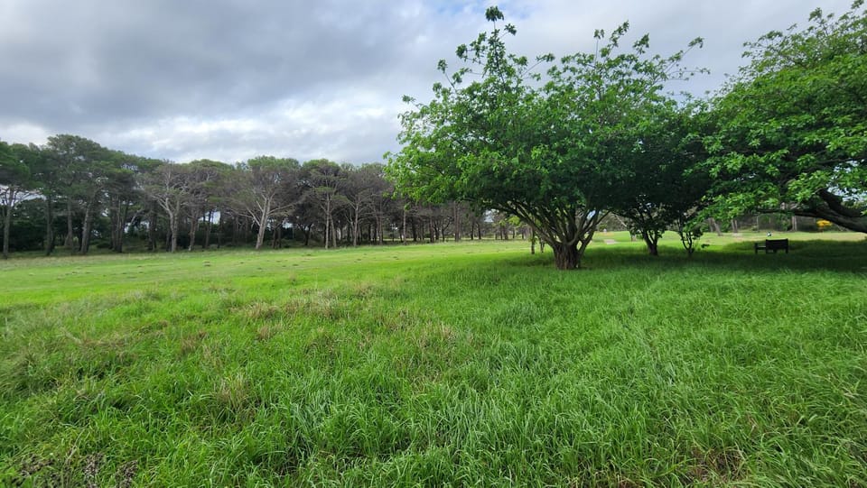 Day, Natural landscape