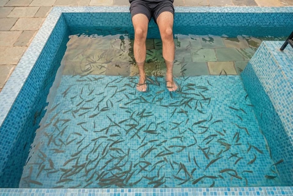 Aqua Heaven Resort Resort in Kerala