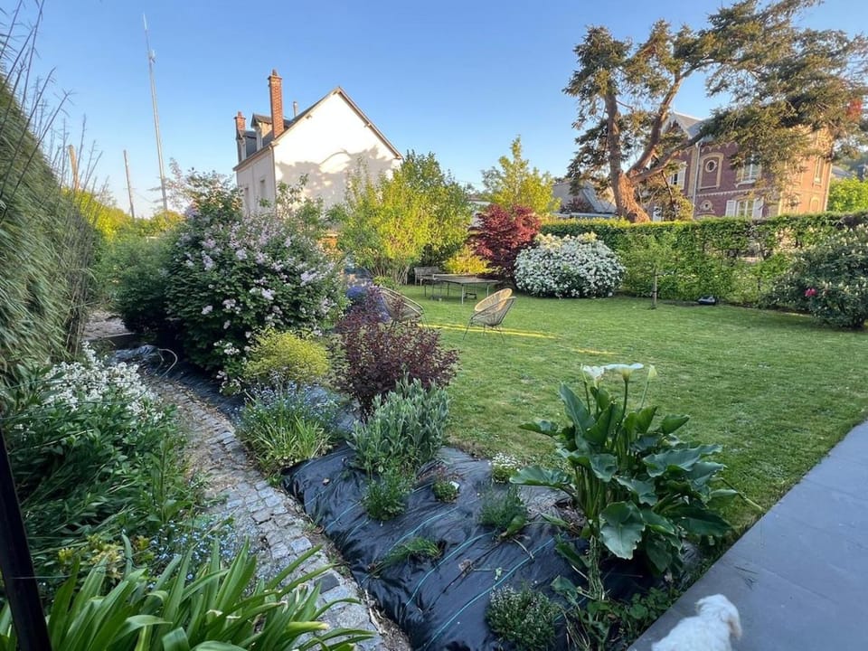 Garden, Garden, Garden view