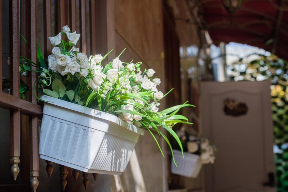 Spring, Day, Garden, View (from property/room), Balcony/Terrace, Garden view