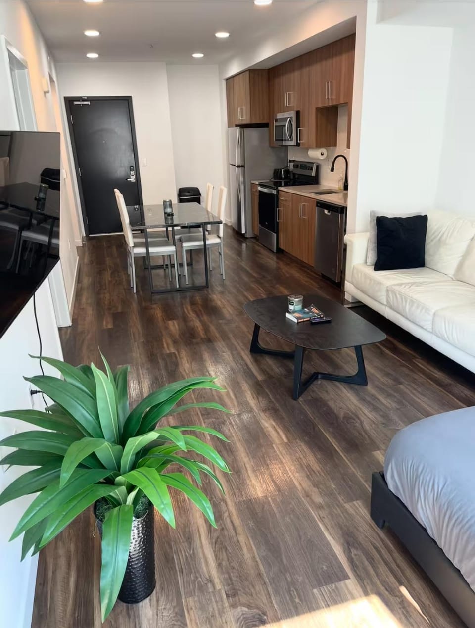 Spacious Hollywood w Pool, Gym, Parking and More Apartment in Hollywood