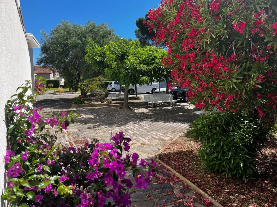 F2 - Le Racou - Sea View Apartment in Argeles-sur-Mer
