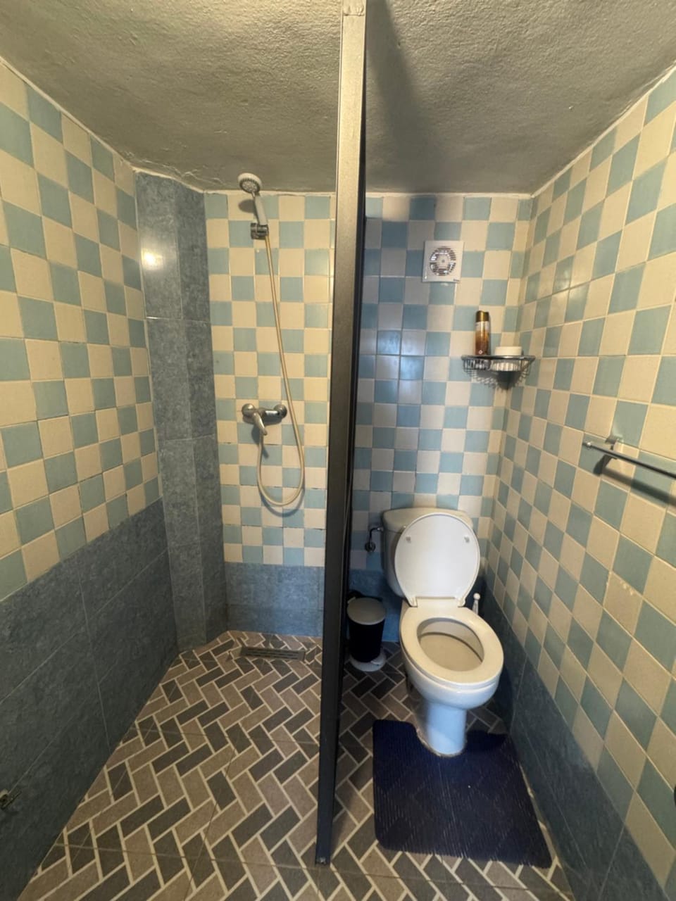 Shower, Toilet