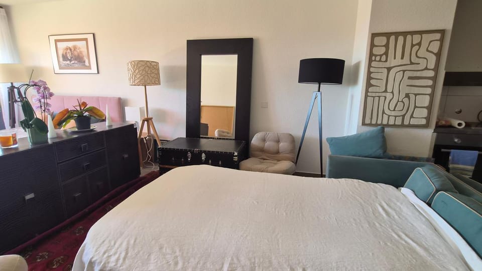 Sunny Terrace Oasis with Mont Blanc View in Central Geneva Apartment in Geneva