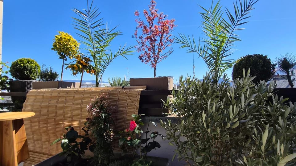 Sunny Terrace Oasis with Mont Blanc View in Central Geneva Apartment in Geneva