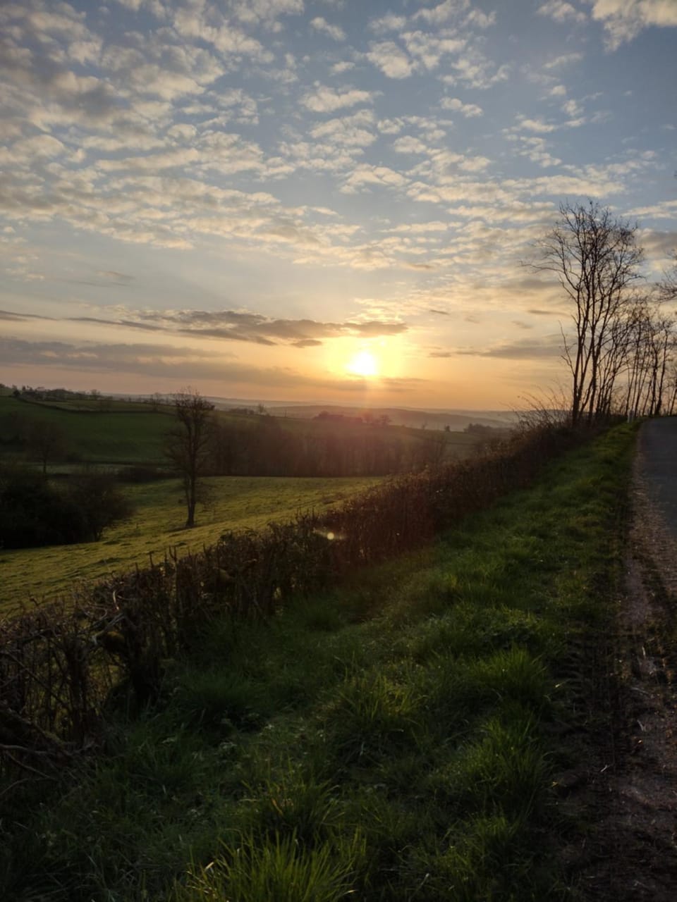 Sunrise