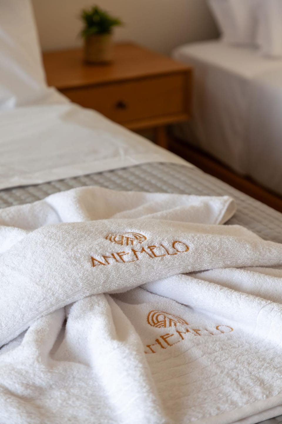 Photo of the whole room, Bedroom, towels