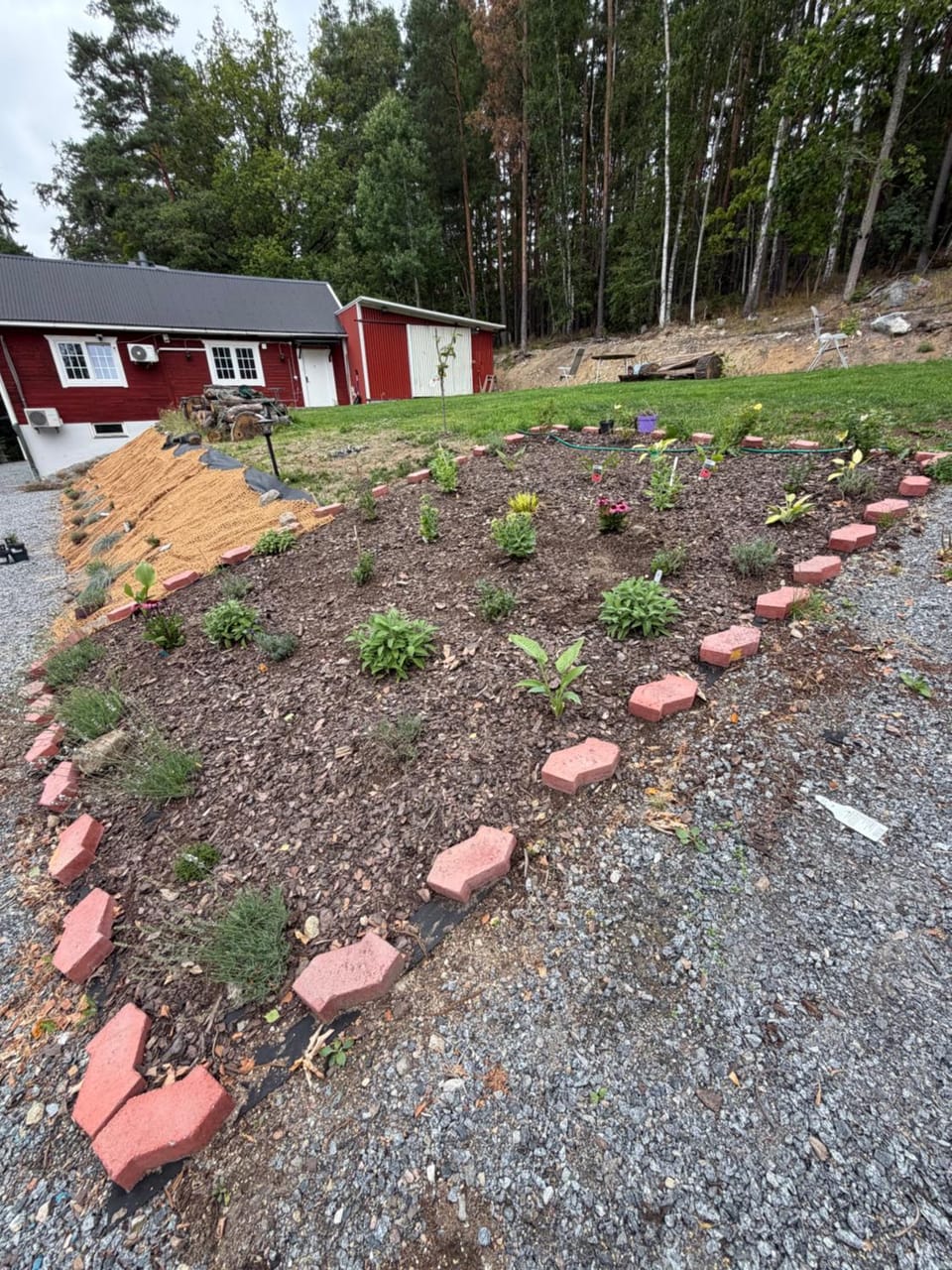 Garden view