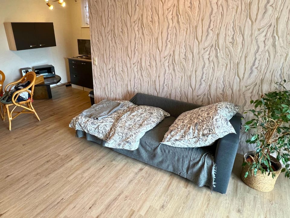 Living room, Bedroom