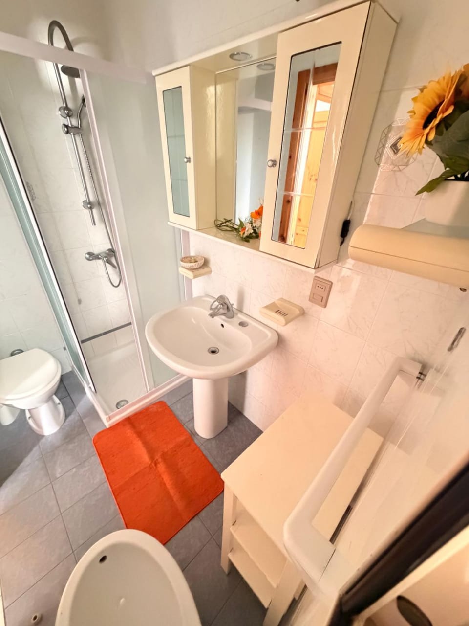 Shower, Toilet, Property building, Bathroom, bidet