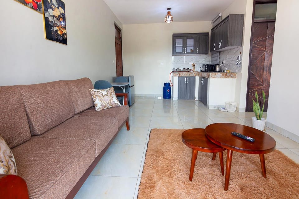 Maryz Secret Haven single bedroom self contained apartment Apartment in Kampala