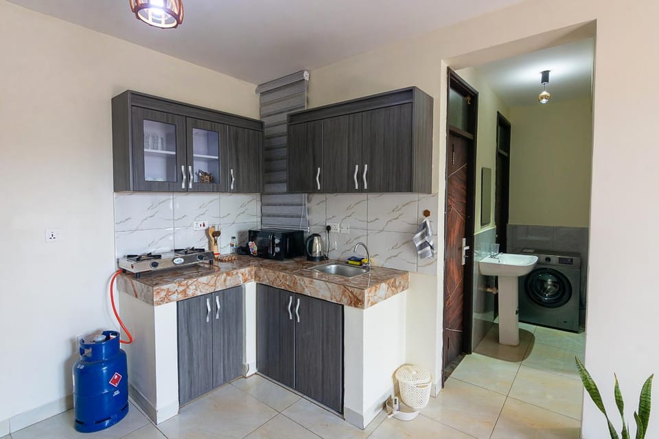 Maryz Secret Haven single bedroom self contained apartment Apartment in Kampala