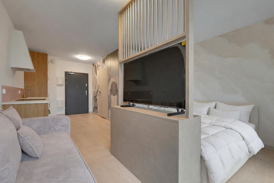 Bed, TV and multimedia, Kitchen or kitchenette, Living room, Photo of the whole room, Seating area, Bedroom