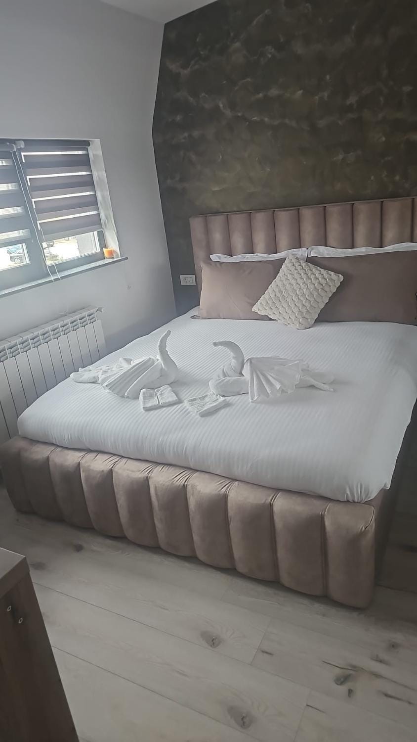 Casa Florescu Apartment in Craiova