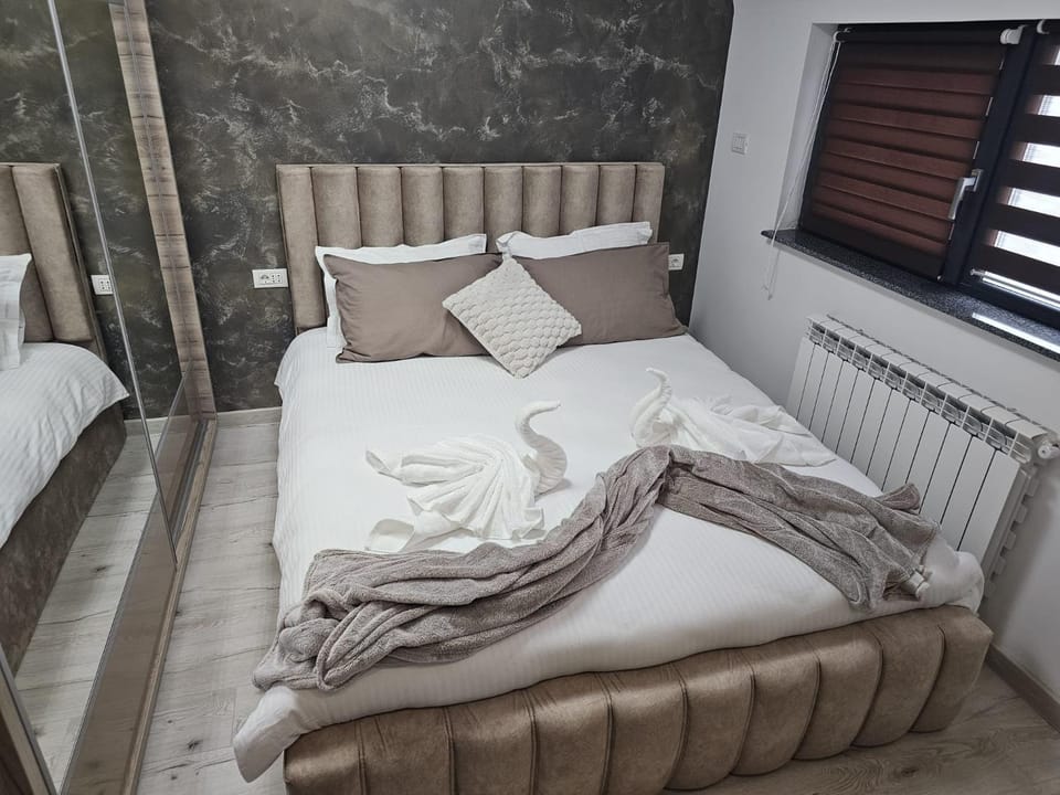 Casa Florescu Apartment in Craiova