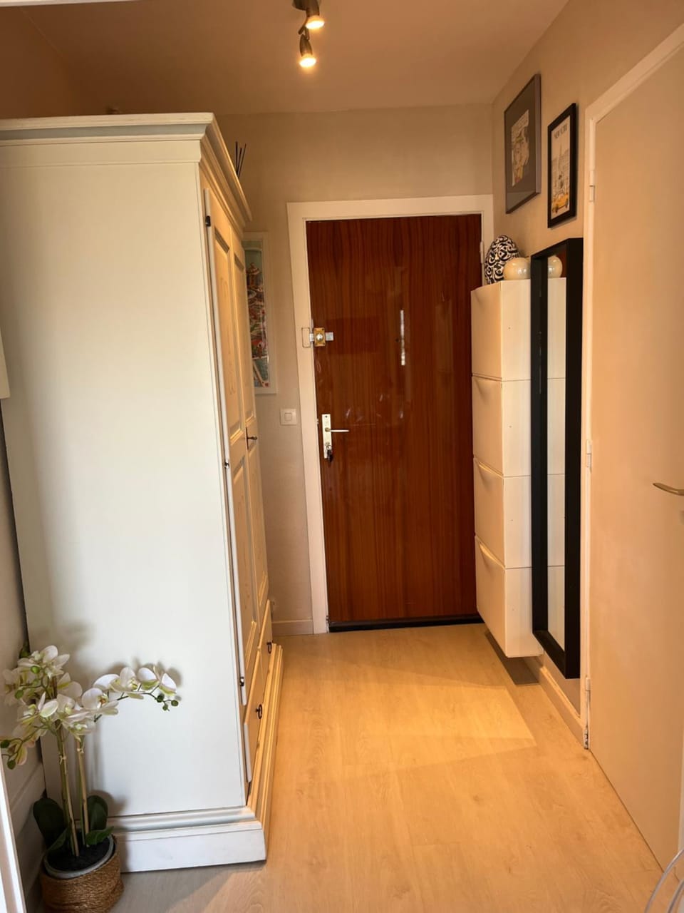 Studio soleil Apartment in Cannes