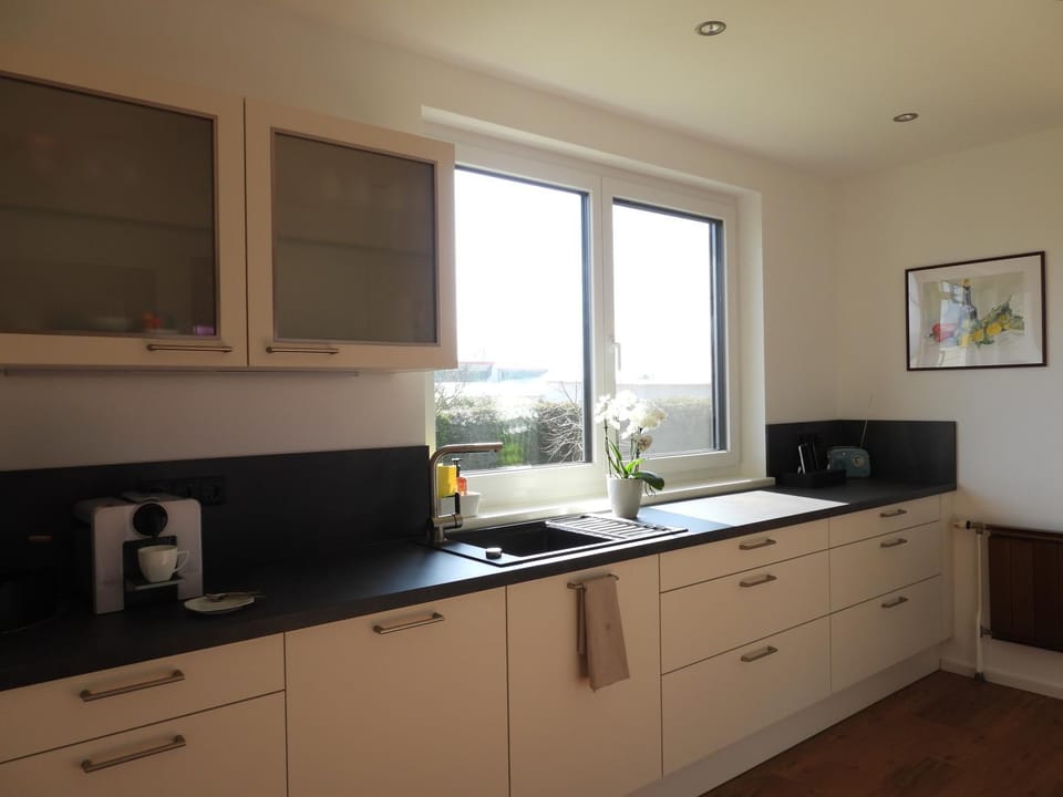 Kitchen or kitchenette, kitchen