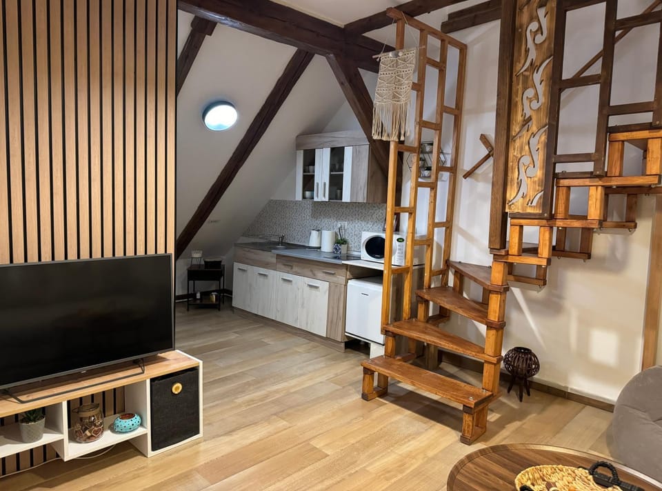 TV and multimedia, Kitchen or kitchenette, minibar, stove