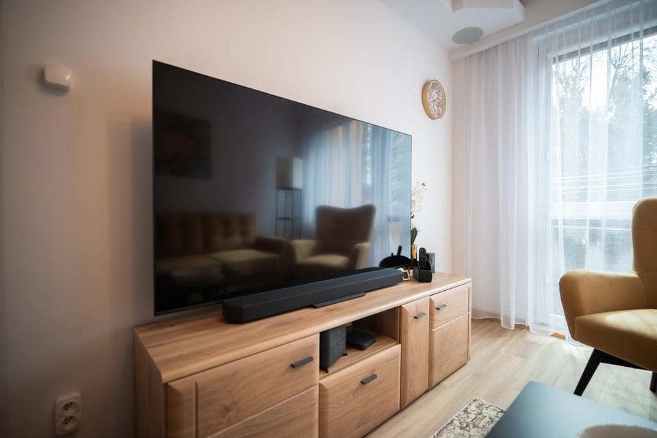 TV and multimedia