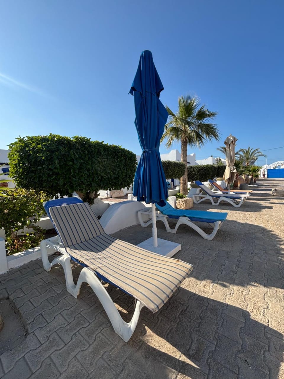 Jardins de Mezraya Apartment in Tunisia