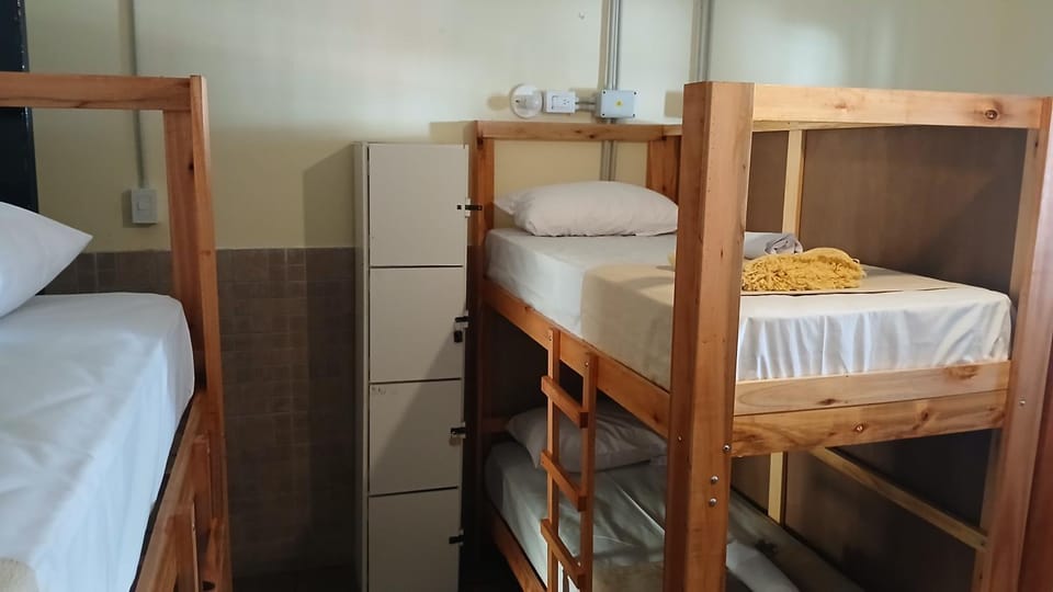Bed, Photo of the whole room, Bedroom, bunk bed, wardrobe