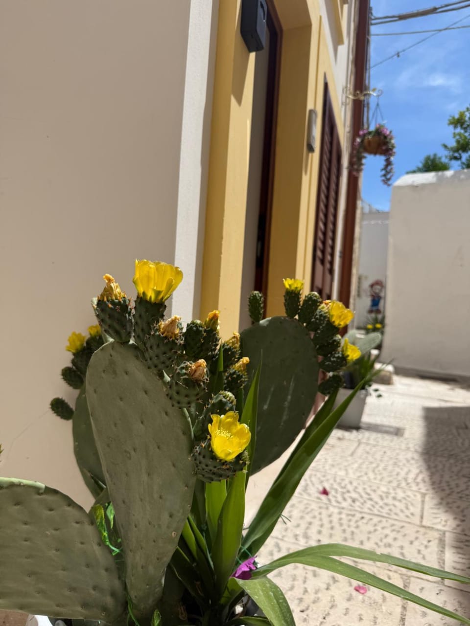 Borgo Antico House in Province of Taranto