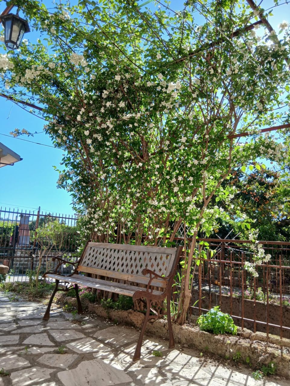 A casa di Laura Apartment in Anzio