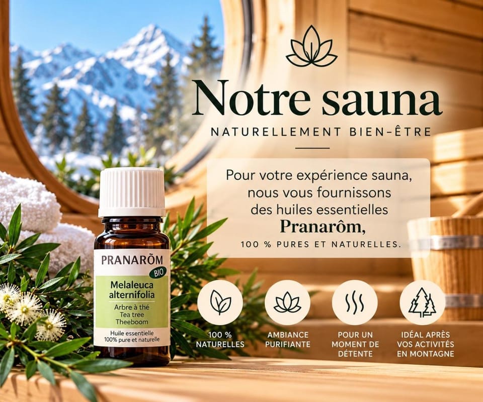 Le Jedlina - T2 sauna privé extérieur, parking gratuit Apartment in Briançon