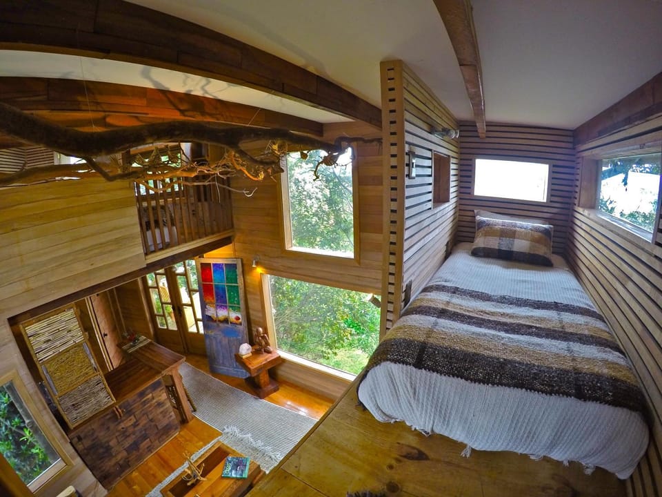 Communal lounge/ TV room, Bed, Day, Summer, Living room, Lounge or bar, Bedroom