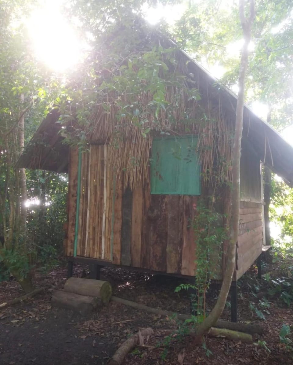 A Casa Da Ilha Cotijuba Farm Stay in State of Maranhão, Brazil