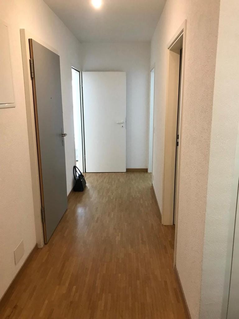 Private room in new apartment, Chemin Daniel Ihly, Lancy Bed and Breakfast in Geneva