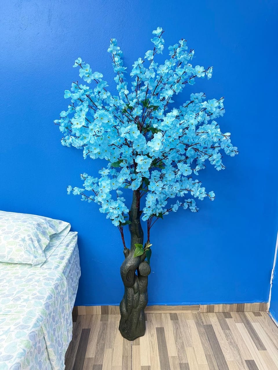 Heart of grecia Vacation rental in Alajuela Province