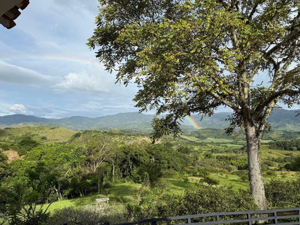 Natural landscape