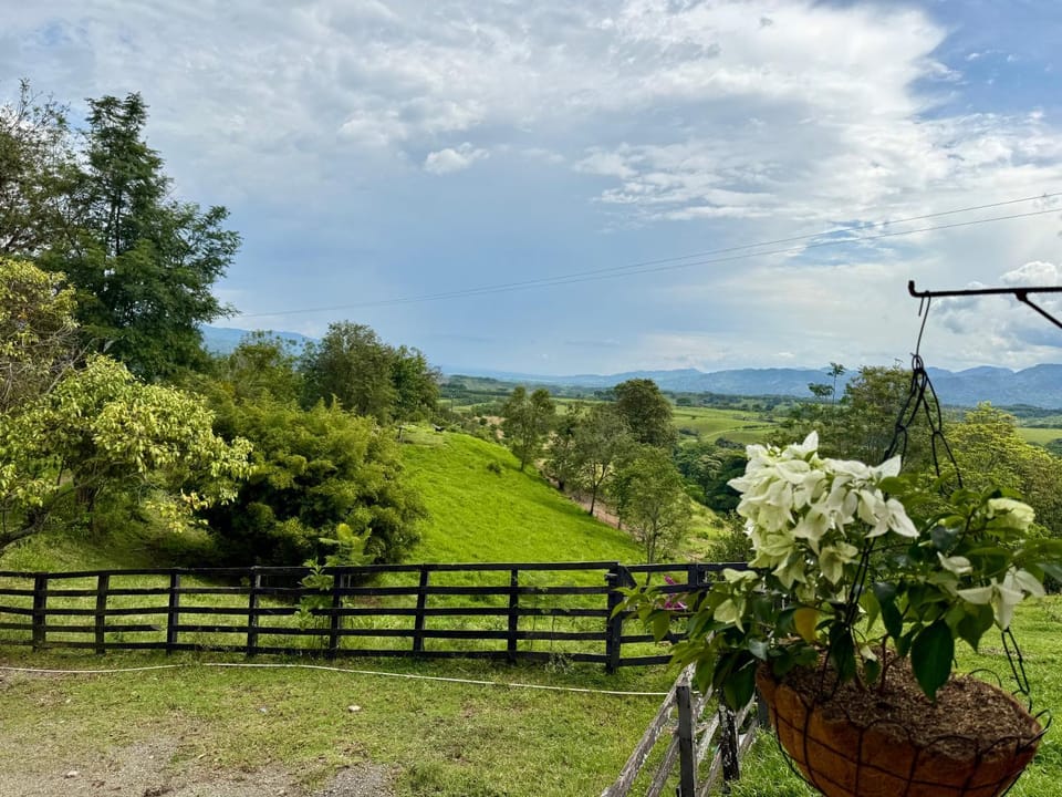 Mountain view