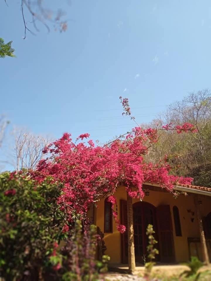 Casa do Mato House in State of Rio de Janeiro