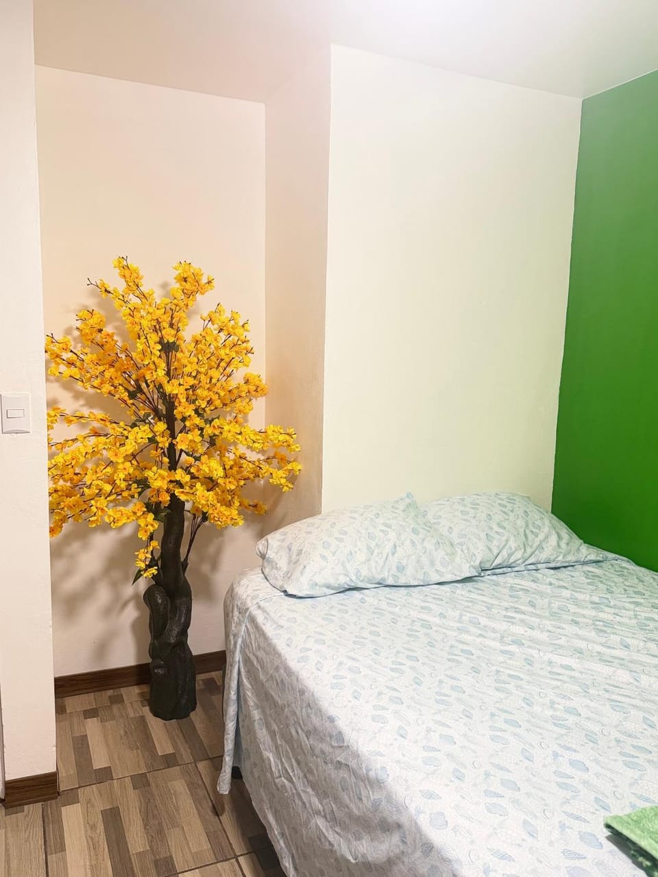 Small room in the heart of grecia Vacation rental in Alajuela Province